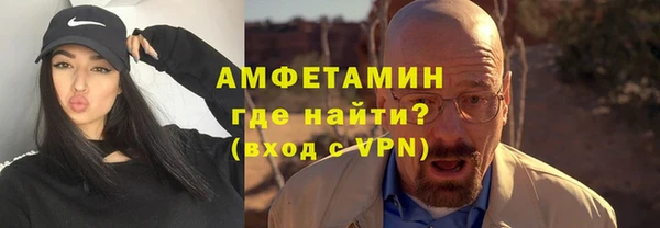 прущие грибы Переславль-Залесский