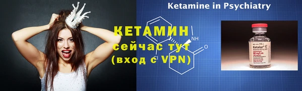 прущие грибы Переславль-Залесский